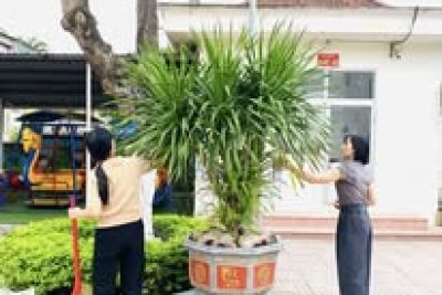 THƯ 7 YÊU THƯƠNG